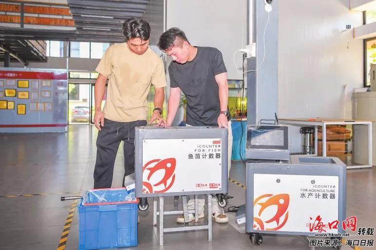 海口数字产业加速跑:数字基建、游戏出海、智能工厂领衔(图4)